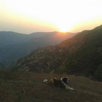 Bungalow @dwarkadhish, Mahabaleshwar, Mahabaleshwar 3